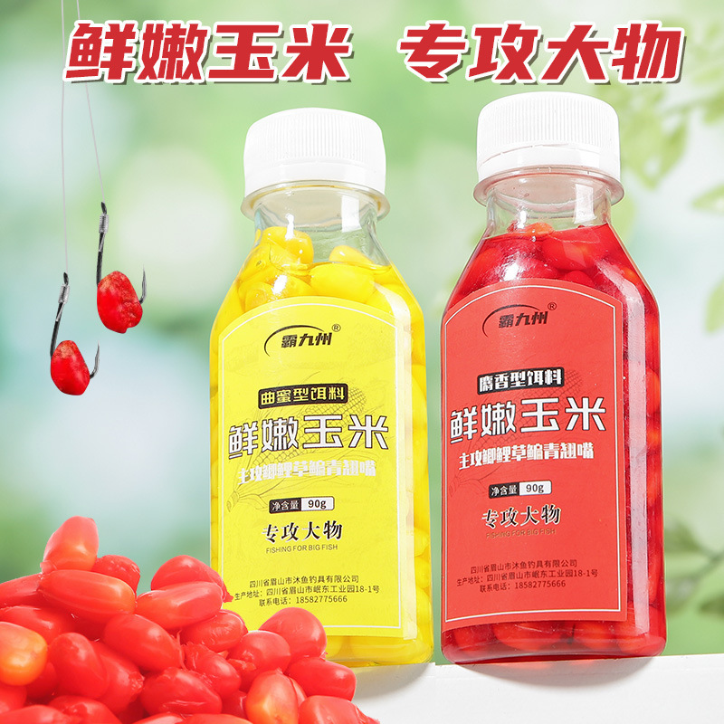 Fresh Corn Bait for Grass Carp, Black Carp, and Crucian Carp, Specialized for Large Fish, Tender Corn Kernels Bottled Fishing Bait