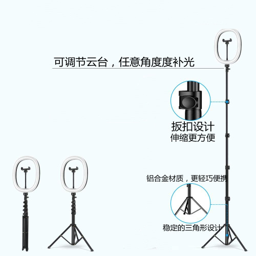 Foldable Influencer Live Stream Fill Light LED Beauty Phone Selfie Lamp Ring Light, 10-Inch Circular Light