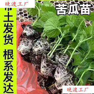 �����߮a����G����玧����������ϷN�Ӵ����߲���׉�����