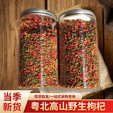 ȻҰ250gb轲ˮ|خaBlخa