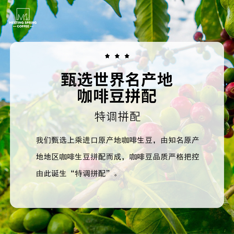 Italian Blended Premium Coffee Beans Arabica Mocha Coffee Medium Roasted Cafe Commercial Home Use