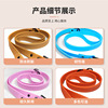In stock, a solid color double -headed nylon traction rope running walk two ends walking dog rope can retract dog traction rope