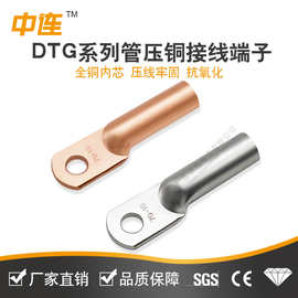 DT铜鼻子25/50/70/120平方电线紫铜镀锡铜线耳接线端子堵油连接器
