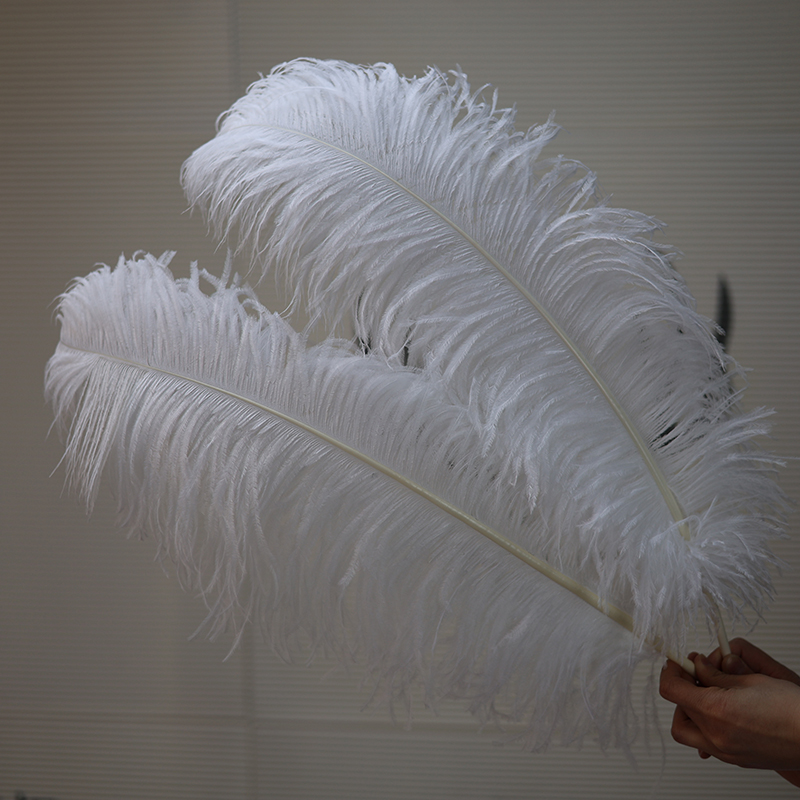 Plumas de avestruz bodas blancas de avestruz guía de plumas accesorios de fotos adornos rojo rosado en línea grandes plumas decoración