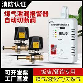3C认证液化气丙烷煤气泄漏报警器商用餐饮厨房机械手一拖二一拖三