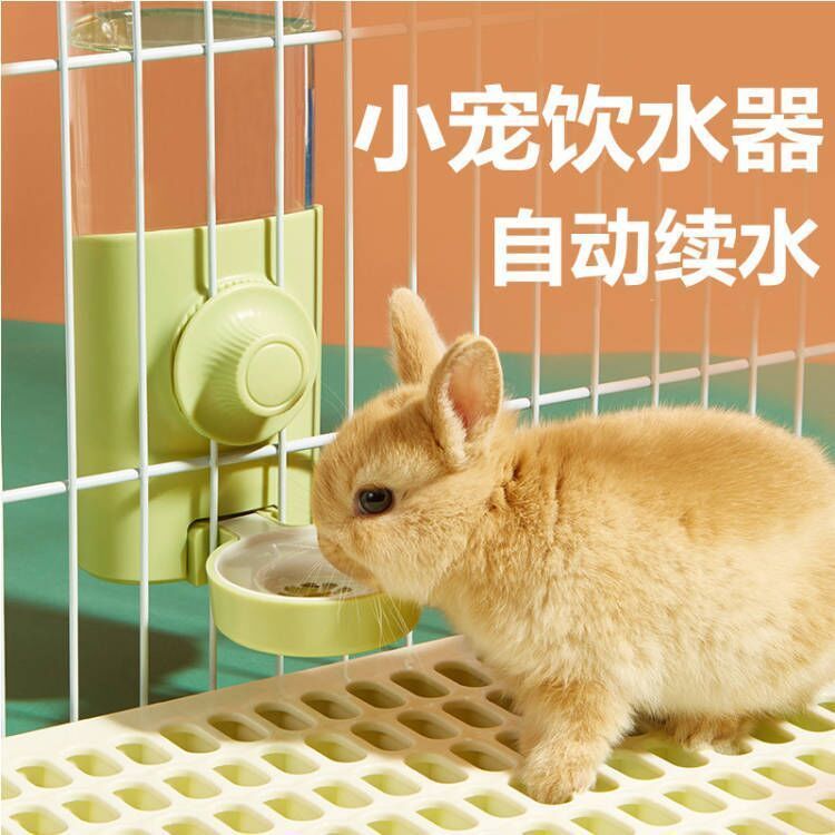 15c1f831-257d-4942-b844-4202dd2e0cd1.jpe