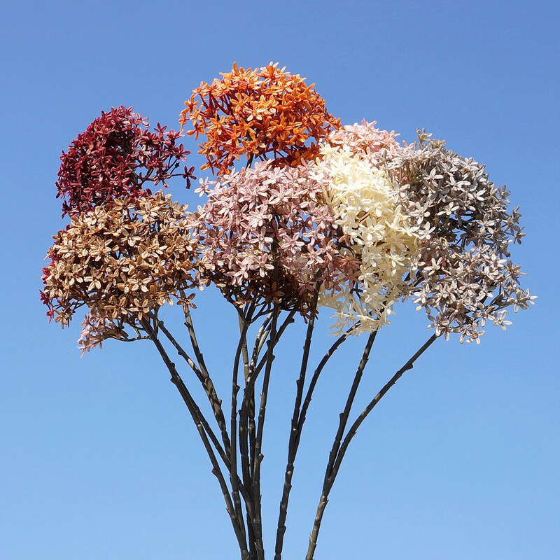 Autumn-Colored 2-Head Silver Crown Flower in Retro Style, Artificial Flower for Home Decoration, Photography Props, and Wedding Backdrop