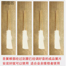 ���J�z�͞������Ƭ�{�{���{�{�{�{���� �S��ֱ�N��ƷëƬ