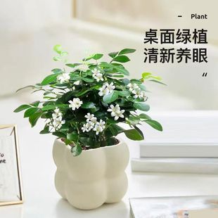 ���W�Gֲins녶����k���ҿ͏d��������[�����s����W�t����ֲ��