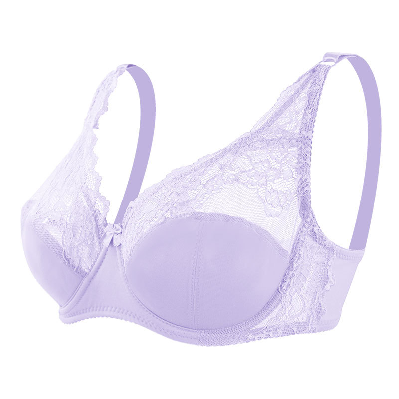 Sexy belleza espalda push up transpirable ropa interior francesa sujetador tradicional Sujetador de encaje transfronterizo con anillo de acero arco