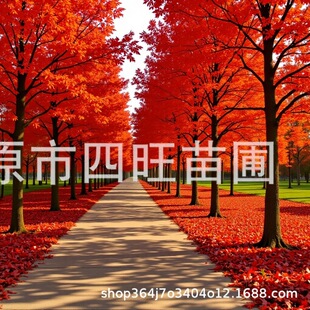 �|���ͺ����~ �����t�� �����ͥԺ�G���L���� �����t����a��