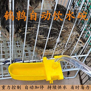 �g���ˮ��ˮͰ�B���Bֳ�u����ˮ����m��ˮιˮ���L�����¿�
