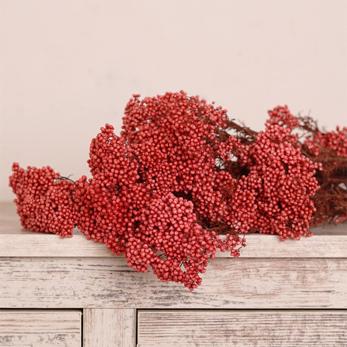 小米花 头条搜索