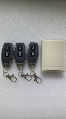 Wholesale 12V2 channel wireless remote control switch with pepper 2 buttons AB one with three wireless remote control switch