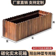 ̼�������L�����L�l����ľľ�ř��L�λ��ۿ羳����朹��S؛Դ���l