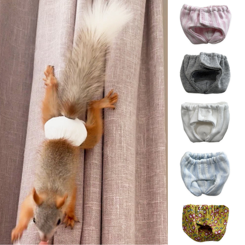 Cross-Border Squirrel, Marmot, Hamster Changing Diapers, Diapers, Outing Supplies, Training Clothes, Absorbent Underwear