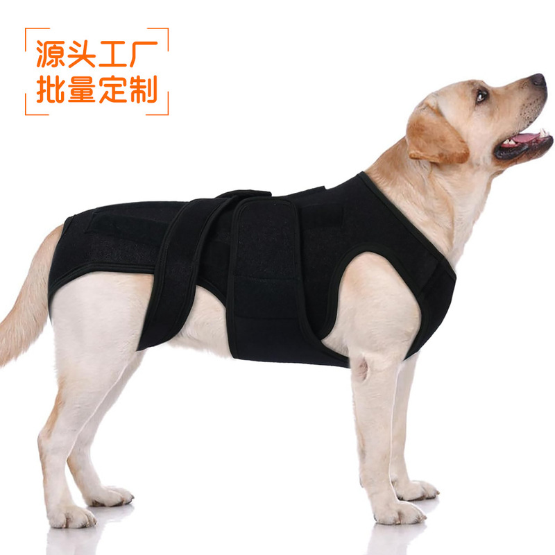 Dog Back Support Vest, Intervertebral Disc Protection, Rehabilitation Aid, Back Support Frame, Pet Clothing Factory Wholesale Dog Back Support Vest, Intervertebral Disc Protection, Rehabilitation Aid, Back Support Frame, Pet Clothing Factory Wholesale