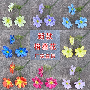 3D�zӡ�� ���滨 3�^��ɣ�� ̫ꖻ��ҾӾƵ� �b� ��Y���õ��Ż�