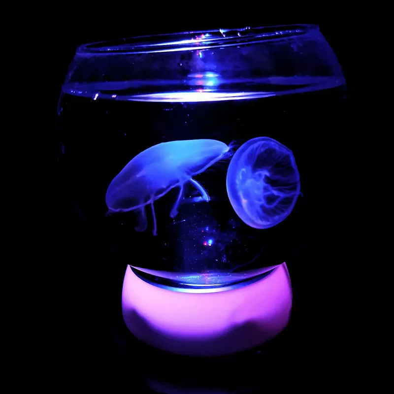 Маленький аквариум, перевернутый мини-аквариум для домашних животных, светящаяся чашка с медузами, легко обслуживаемый настольный морской чашка, декоративная луна, цельный, Прямая доставка