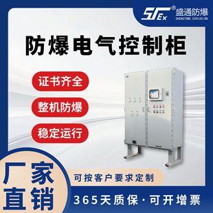 [Non-Standard Customization] Explosion-Proof Electrical Control Cabinet Iib/Iic Explosion-Proof Control Cabinet Explosion-Proof Positive Pressure Control Cabinet