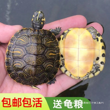 �ԼS���������������ˮ�^�p���~�����Bˮ�|�������~ʺ������