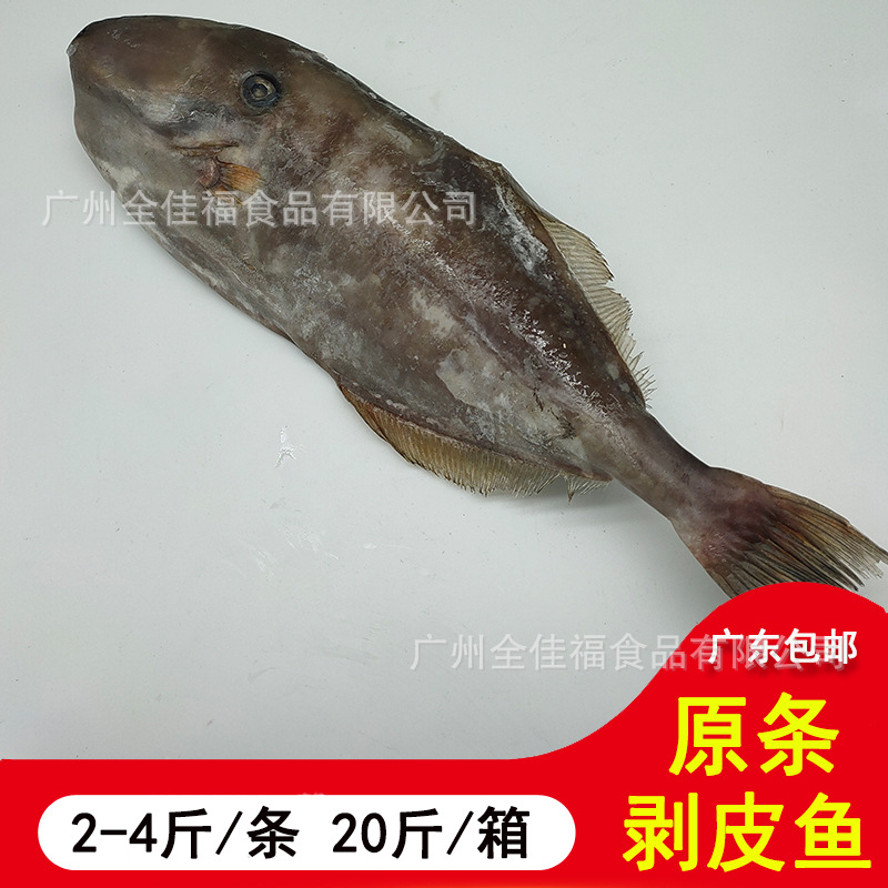 剥皮牛 扒皮鱼 马面鱼海鲜冷冻海鱼 1000g-1500g 1件20斤