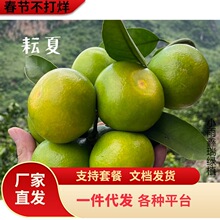 ɳ�ǽۘ�����������Ϸ������Nֲ���Ә���̽۹������޽�ɰ����