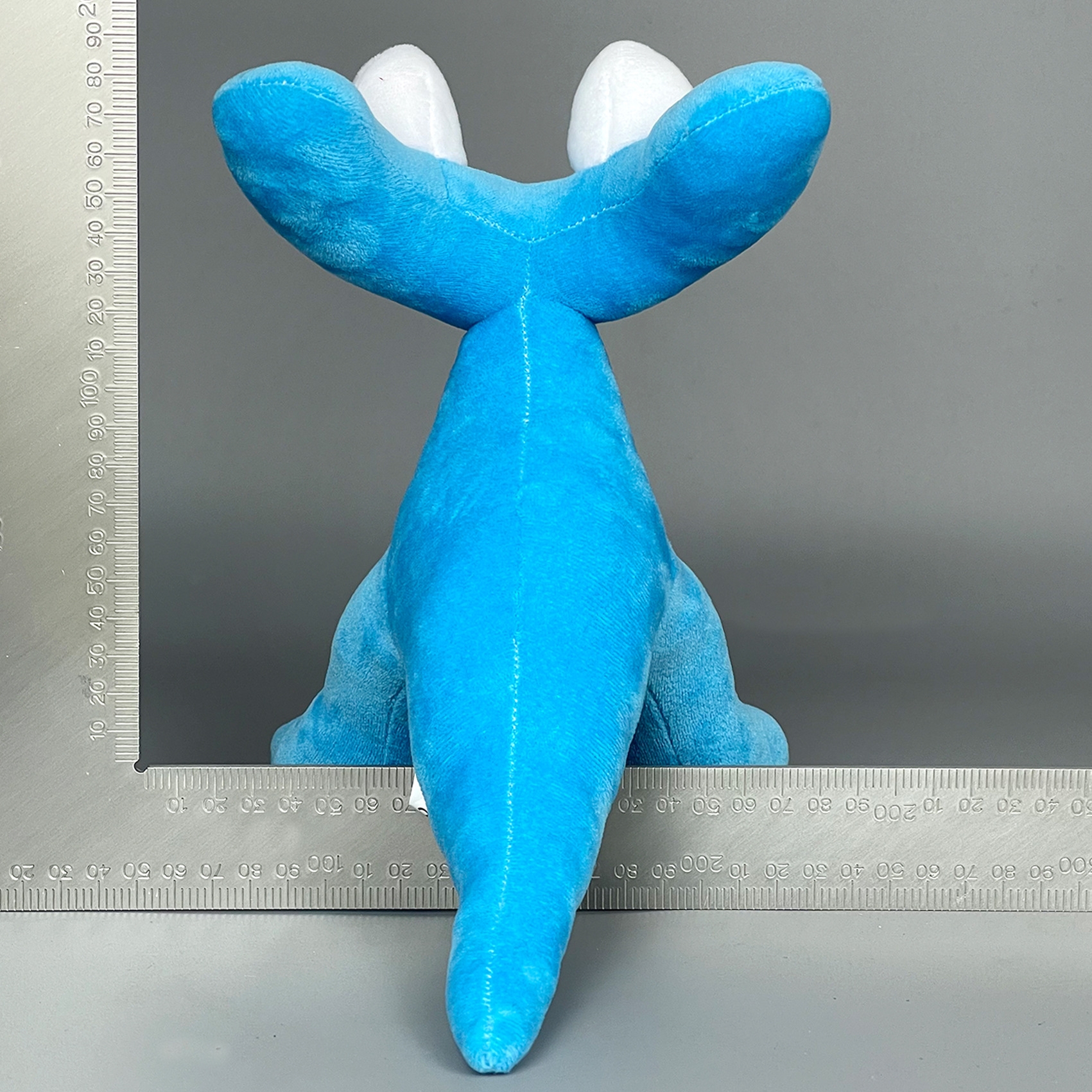 实拍 蓝龙 (4).jpg