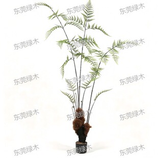 Artificial Fern Leaf Potted Plant ���^ާ��������