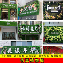 ֲb̨҃T^҃ϼٲƺ