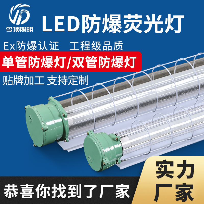 Explosion-Proof Lamp Factory Custom-Made 1.2m T8Led Warehouse Workshop Single-Tube Double-Tube Explosion-Proof Fluorescent Lamp Waterproof