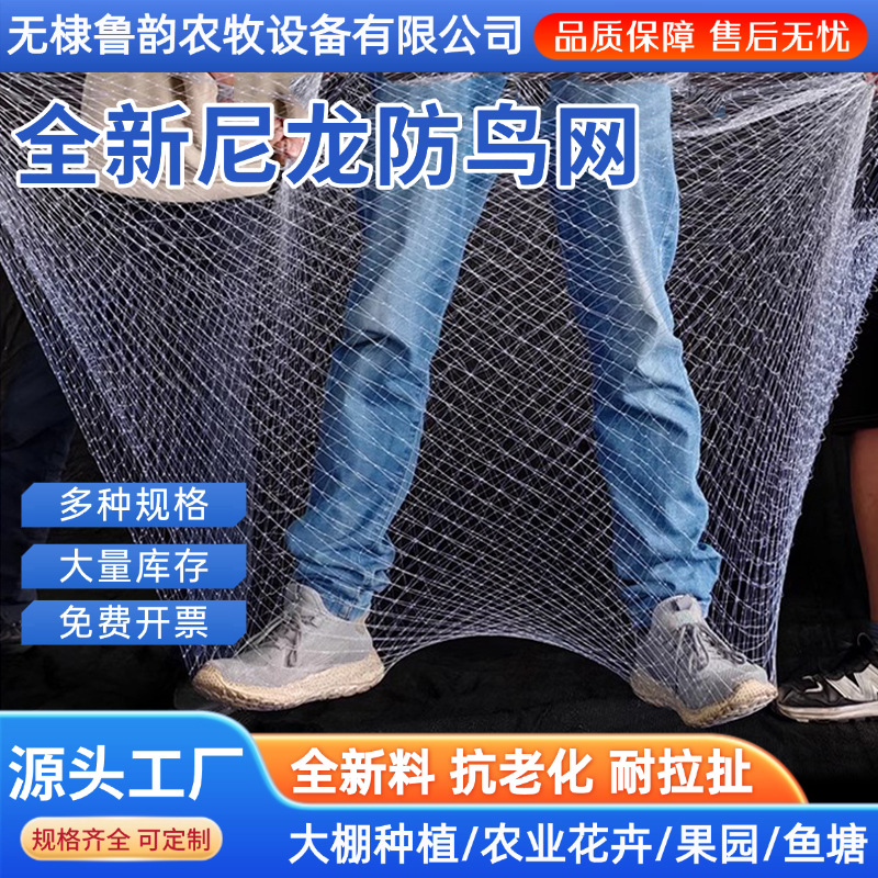 尼龙防鸟网天网 果园鱼塘防鸟网尼龙天网樱桃园稻谷葡萄防鸟网子