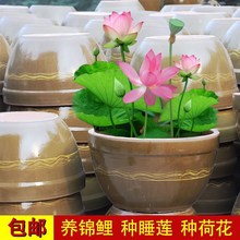 民间老旧水缸腌菜莲花土陶中式花盆防滑发酵缸厚实造景老式专用盆