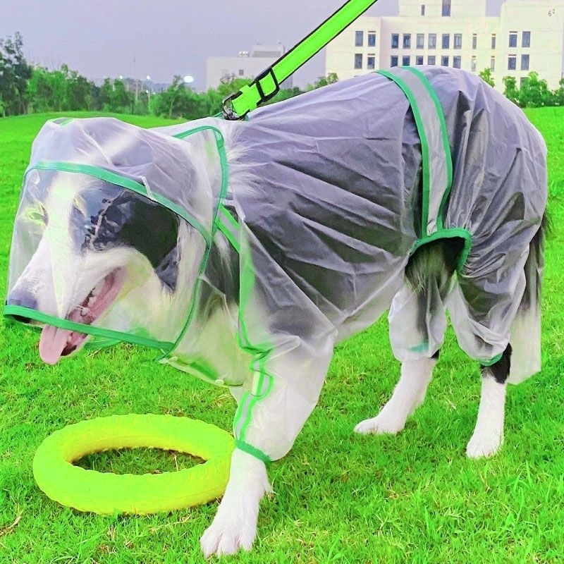 a855a762-3de0-4d89-9962-1038aac0839e.jpe