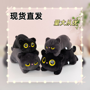 �¿�ſ���L�l؈�䃺ͯ�Y�ﰲ����żë�q���Ů�����ϊA�ȱ������|