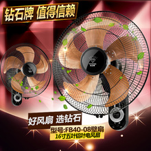 ������Ʒ��ʯ��16����Ҷ����ҡͷ����ȼ��ñڹ�ǽ�ڵ����