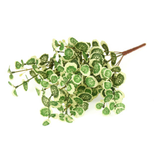 �羳����ֲ��166�~���~���ļپGֲ���Ի�c�����Ҿ��b�ˇ�[��