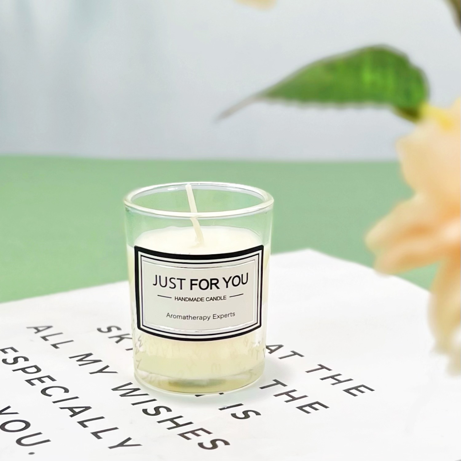 투명 (영국 배 & 프리지아)