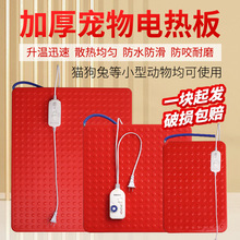 宠物保温板仔猪防水加热板狗用电热板蛇猫加热毯小型动物取暖设备