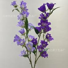 �¿�2����L⏻� ���Ȼ� ��c��Y�õ�����߷��滨 �Ҿӻ����b�