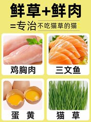 Freeze-dried cat grass pellets, ready-to-eat cat snacks, ready-to-eat cat grass, chicken breast pellets, freeze-dried cats