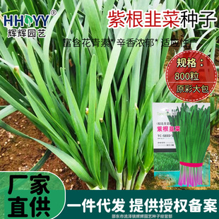 �ϸ��²˷N���ļ��N���Ӹ��t�����~�²˷N���ļ��̨���ԷN�߲˷N