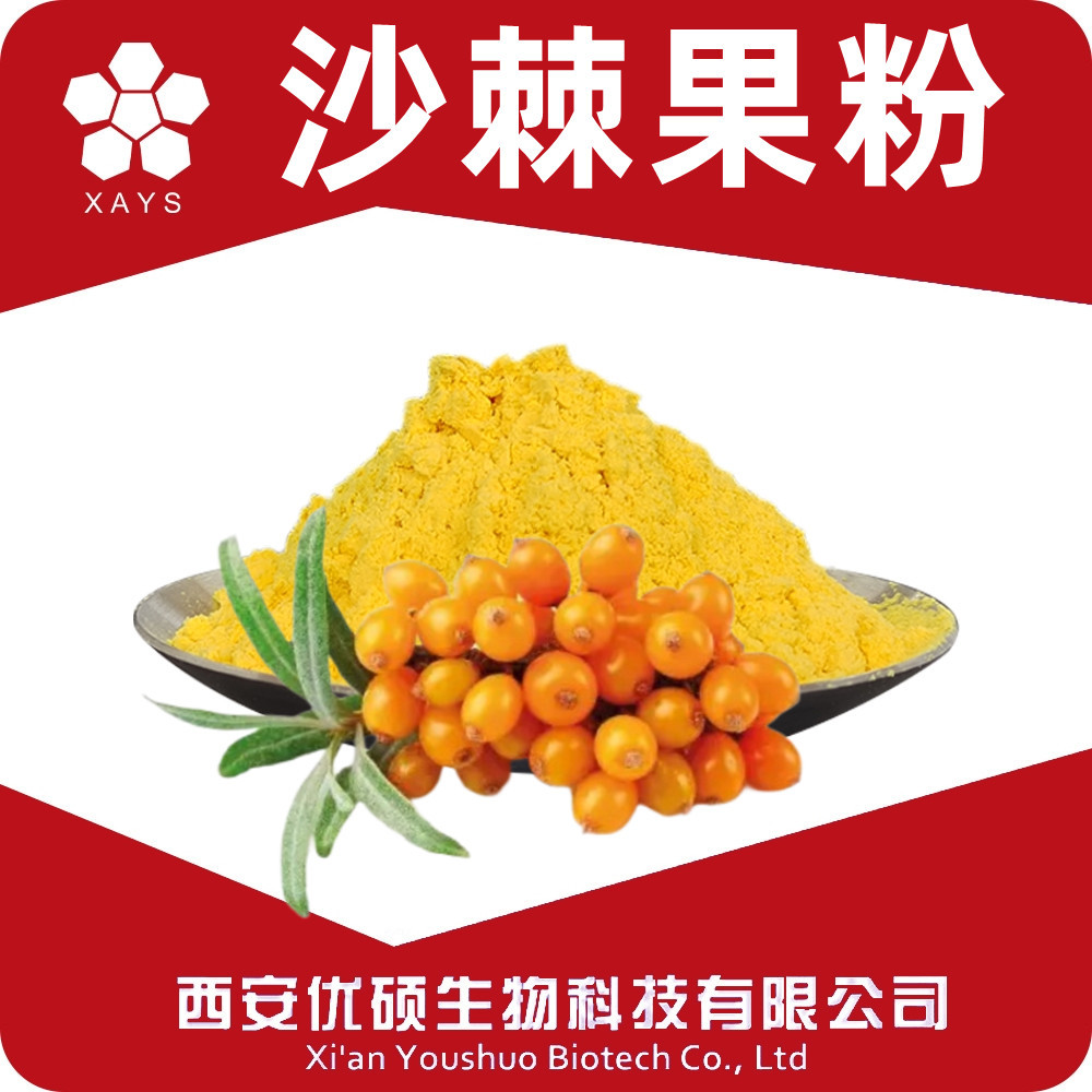 沙棘果粉 水溶沙棘粉 浓缩粉固体饮料原料SC厂家优硕生物资质齐全