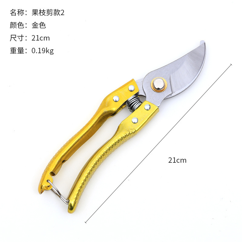 168 dorado