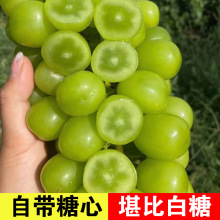 ����ꖹ�õ���������rˮ��5���������џo����ӡ�������ᮔ������