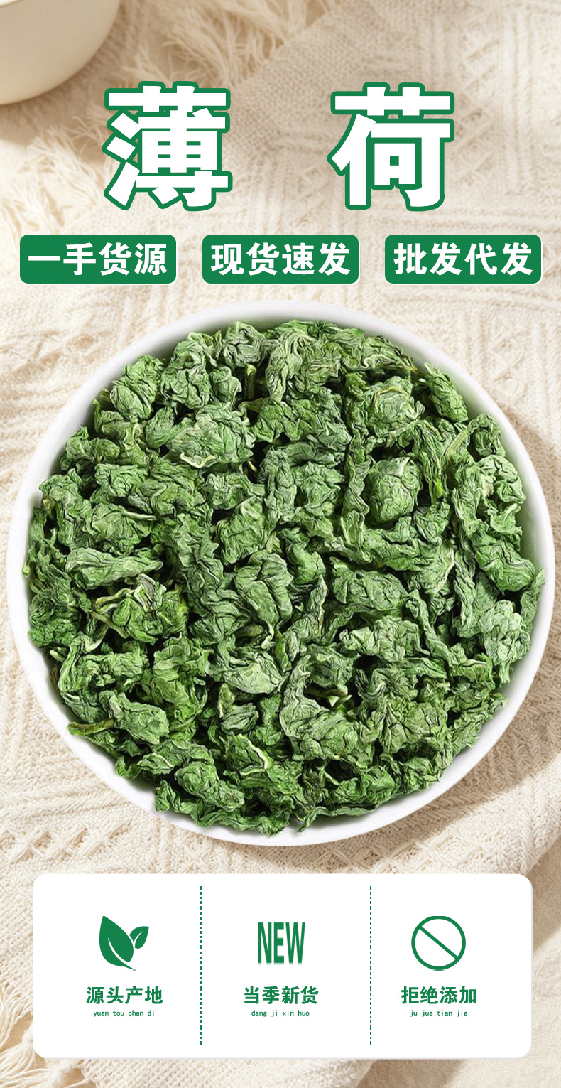Mint Leaves (Mentha haplocalyx) — Dried Food-Herb Mint Tea for Brewing & Blending key features