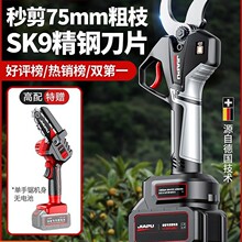 늄Ӽ������ʽ�����@�ֹ�����֦�������늼���֦늼��Ӽ�֦�F��