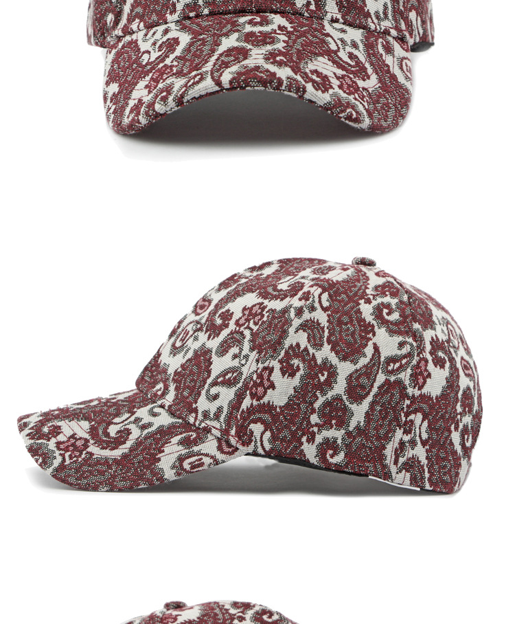 Unisex Basic Vintage Style Printing Curved Eaves Baseball Cap display picture 1