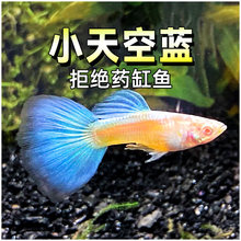 ����{�׿�ȸ�~������Ʒ��β�͑���ĸ�~�R�aˮ�ݸןᎧ�~�������T