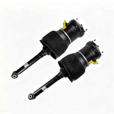 Air Shock Absorber – damping system